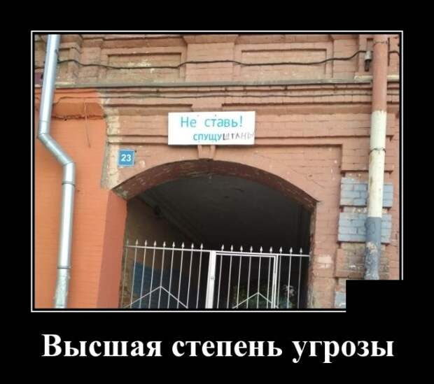 Демотиваторы