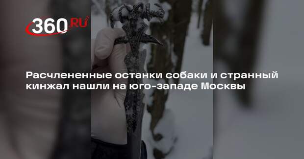 Расчлененные останки собаки и странный кинжал нашли на юго-западе Москвы