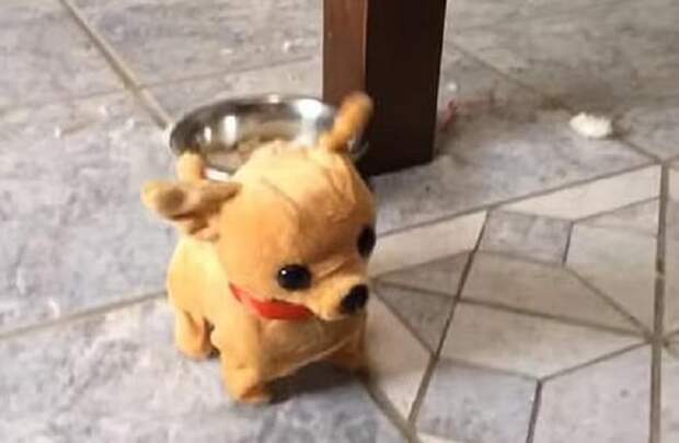 Игрушечная собака