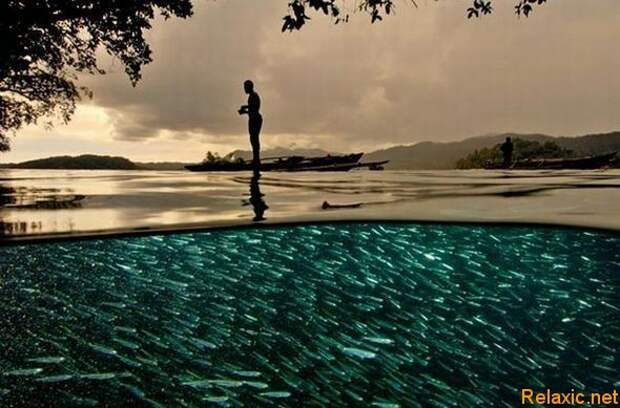 national-geographic-moments-28