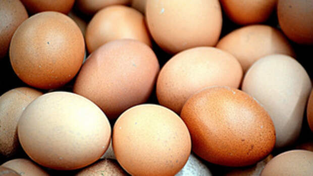 Яйца / Фото: pxhere.com/ru/photo/1105864