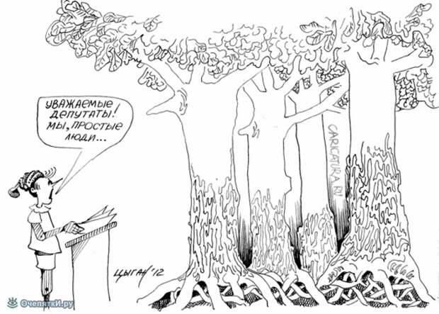 Карикатуры из жизни 15
