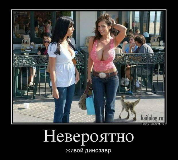 Смешные демотиваторы, для отличного настроения! Смешные демотиваторы, для отличного настроения!