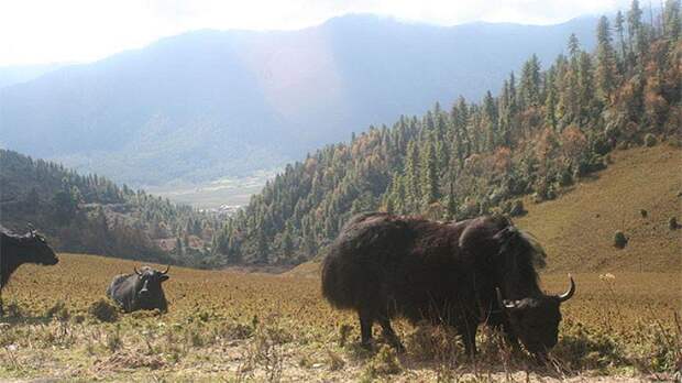 Фотография: 25 самых красивых и в то же время уединенных мест на планете №26 - BigPicture.ru