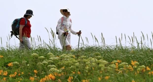 Психолог рассказала о тренде на «замедление» среди людей старше 40