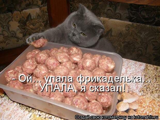 Котоматрица 18 (604x453, 61Kb)
