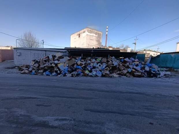 Могоча зарастает мусором