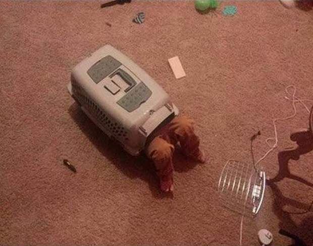 Смешные дети