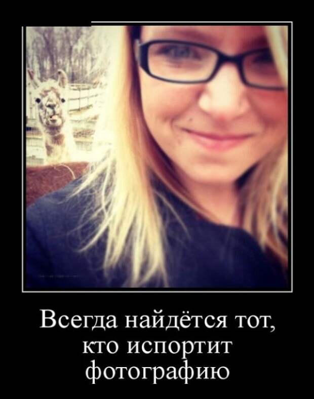 Демотиваторы (30 фото)