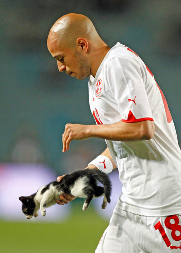 Тунисский игрок Яссин Микари уносит котенка с поля во время товарищеского матча с Францией, 30 мая 2010 года