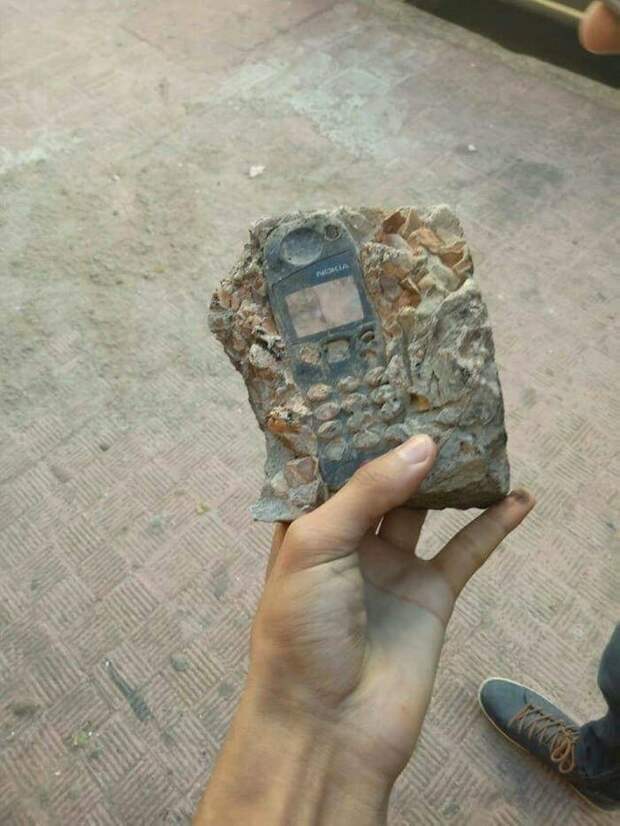 Ископаемая Nokia, не удивлюсь, если она сейчас зазвонит забавные фото, интересно, кадры из жизни, смешные фото, фото