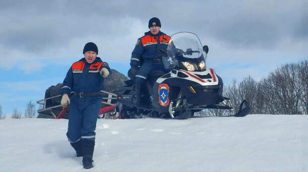 Поиски пропавших детей в Звенигороде ведутся круглосуточно