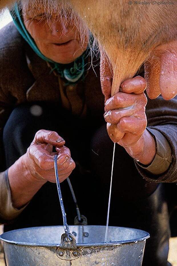 В затерянном мире