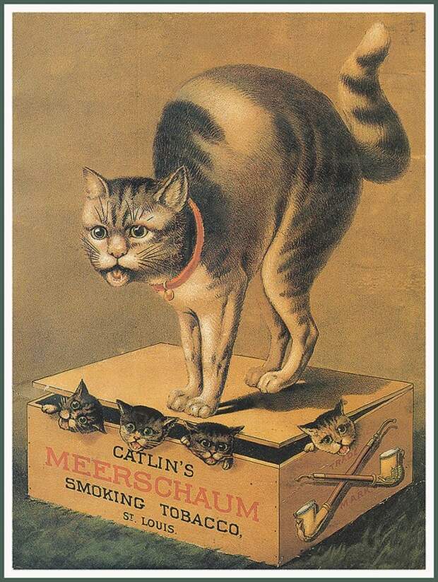 Винтажные открытки с котами