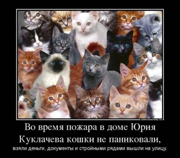 Новости прикольные в демотиваторах.