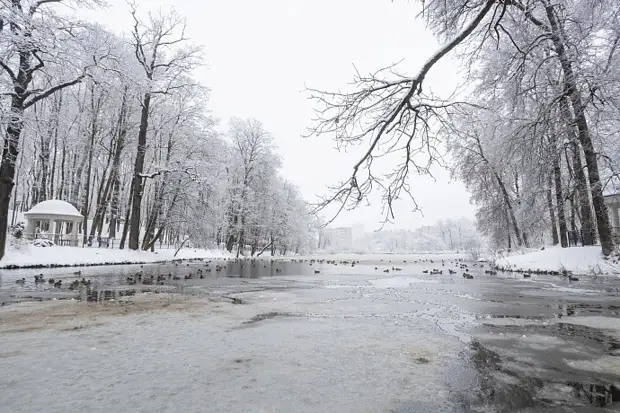18 марта в Туле похолодает до -16 градусов, ожидается повышенное атмосферное давление