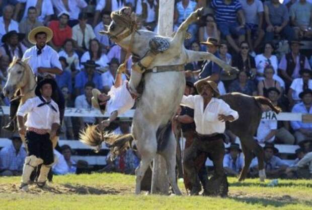 Укрощение необъезженных лошадей на ежегодном фестивале Патрия Гауча (Patria Gaucha)