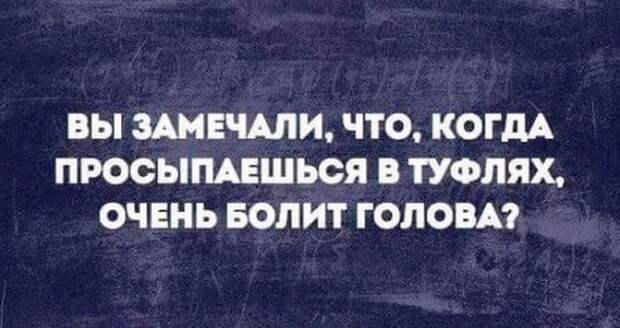 Веселые картинки, которые поднимут вам настроение! Веселые картинки, которые поднимут вам настроение!