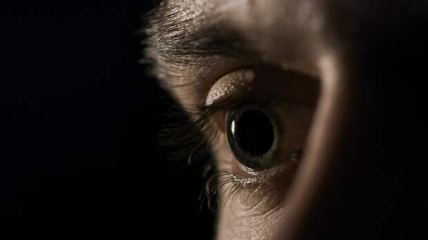 Бактерия, обнаруженная в глазу, может вызывать болезнь Альцгеймера