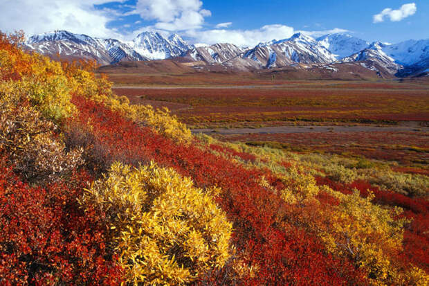 Красивые фотографии Аляски (34 фото) Красивые фотографии Аляски (34 фото)