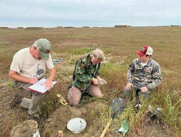 14 фото о том, как спасают сов, живущих под землей, и для чего им строят новые норы