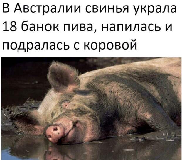 Подборка картинок. Дневной выпуск (20 фото)