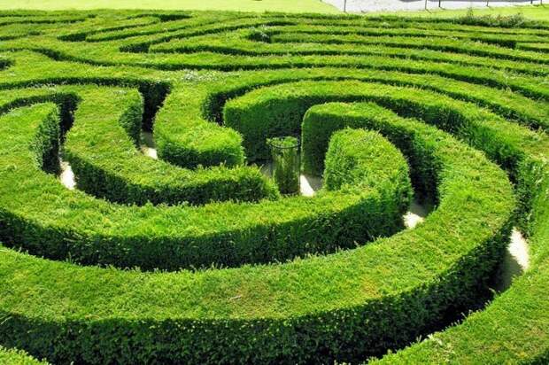 Longleat Hedge Maze – самый длинный в мире лабиринт