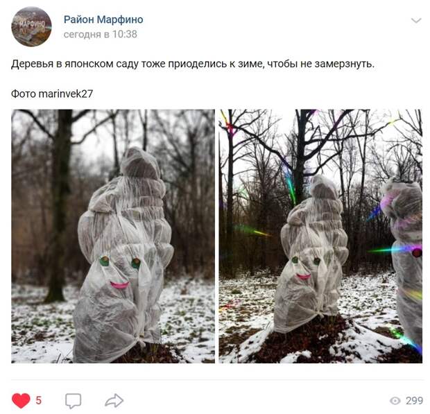 Деревья в Главном ботаническом саду «переоделись» к зиме