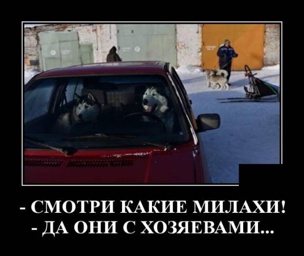 www.vsyako.net