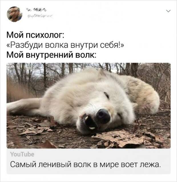 www.vsyako.net