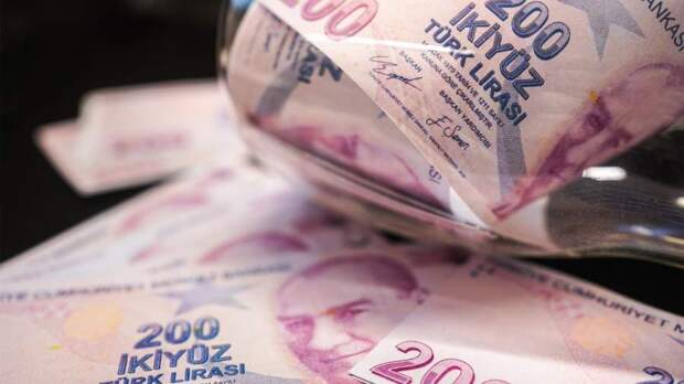 Короли лир: турецкие банки обещают российскому бизнесу расширить прием платежей