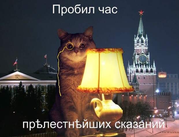 Картинки по запросу кот у лампы гифка