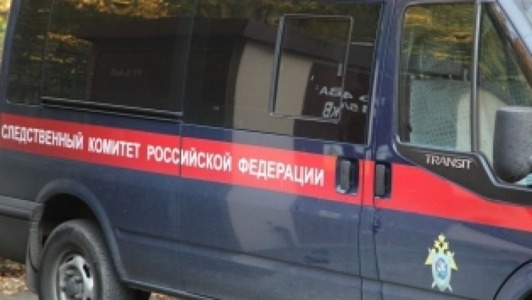 Нападение собаки на ребенка в Подмосковье привело к уголовному делу