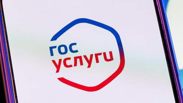 Как проверить наличие долгов с помощью «Госуслуг» — узнаете и о своих, и о чужих