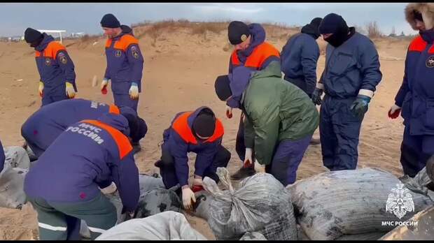 В Крыму масляное пятно обнаружили в районе Тобечикского озера