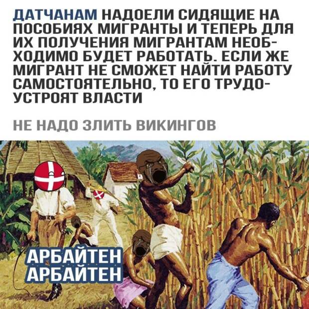 Шутки и мемы про феминисток, ЛГБТ и Black Lives Matter