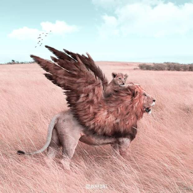 Монархия. Автор: Julien Tabet. Монархия. Автор: Julien Tabet.