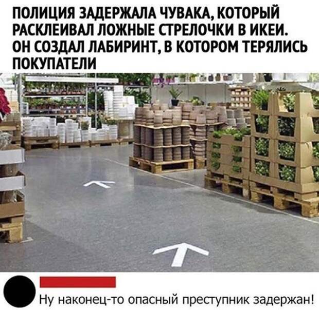 Настоящий преступник :)