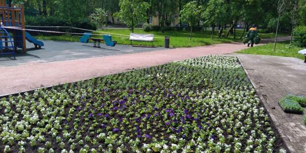 Фото: управа района