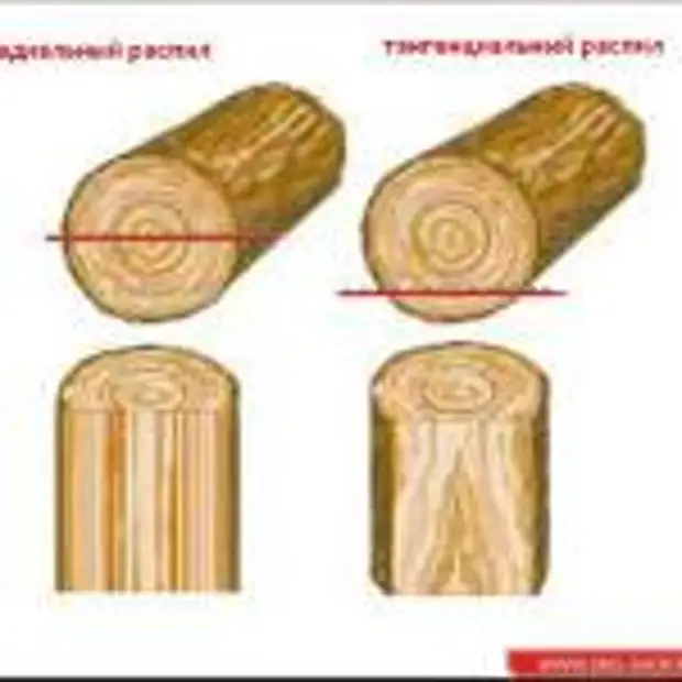 Тангенциальный рисунок шпона