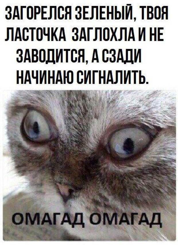 Позитивные и забавные картинки с надписями со смыслом (11 фото) Позитивные и забавные картинки с надписями со смыслом (11 фото)