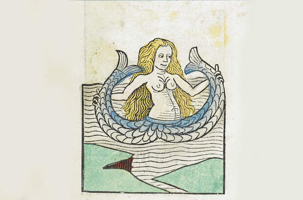 Сирена из Hortus Sanitatis, трактат De piscibus, глава №83. 1491 год. Британская библиотека, Лондон, Соединенное королевство карта мира, чудовища