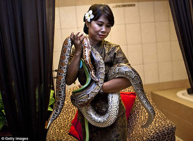 Змеиный массаж snakemassage08 Змеиный массаж