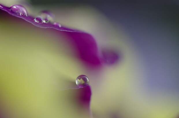 Есть только миг между прошлым и будущем... Есть только миг между прошлым и будущем...