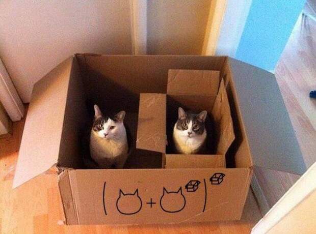 Смешные картинки