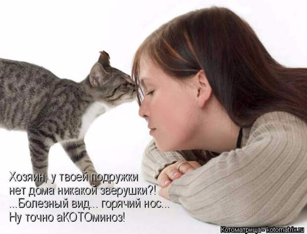 котоматрица