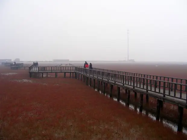 Красный пляж в Китае