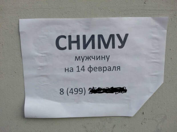 В поисках мужчины. В поисках мужчины.