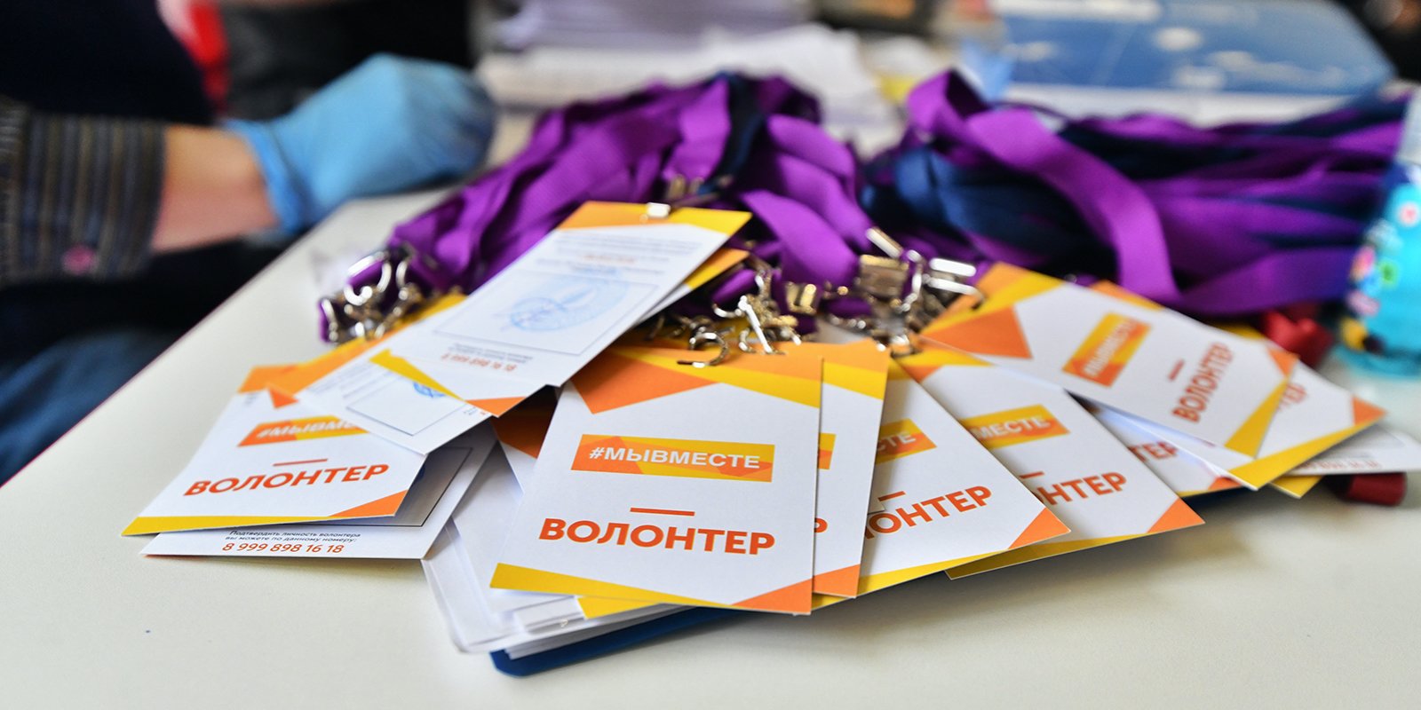 Волонтёры доставили пожилым супругам из Бабушкинского десять килограммов продуктов