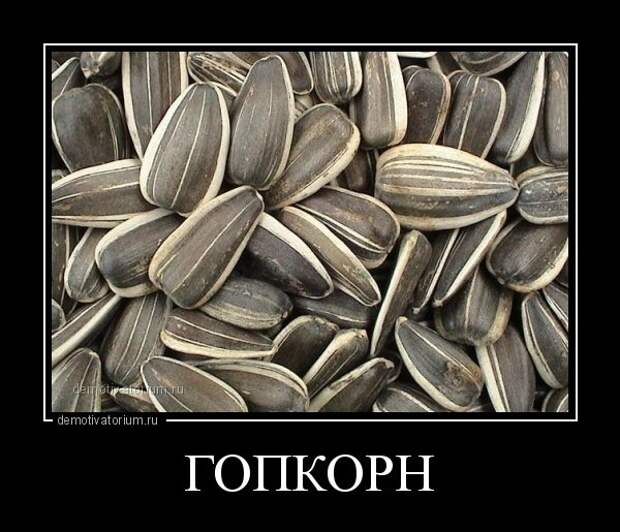 Свежие демотиваторы (20 шт)